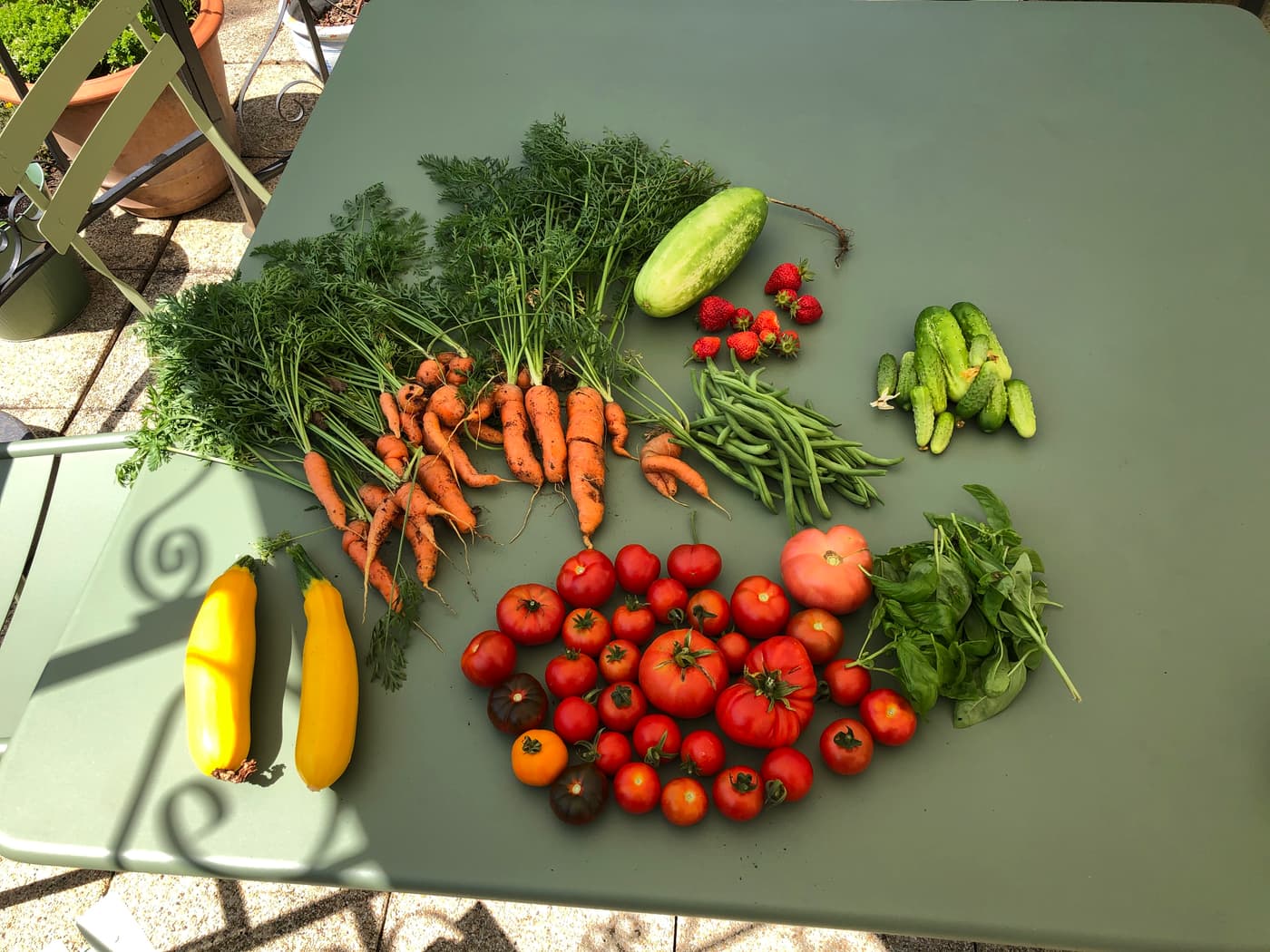 Récolte étalée sur une table en bois vert : carottes en botte, tomates, courgettes jaunes, haricots, épinards.