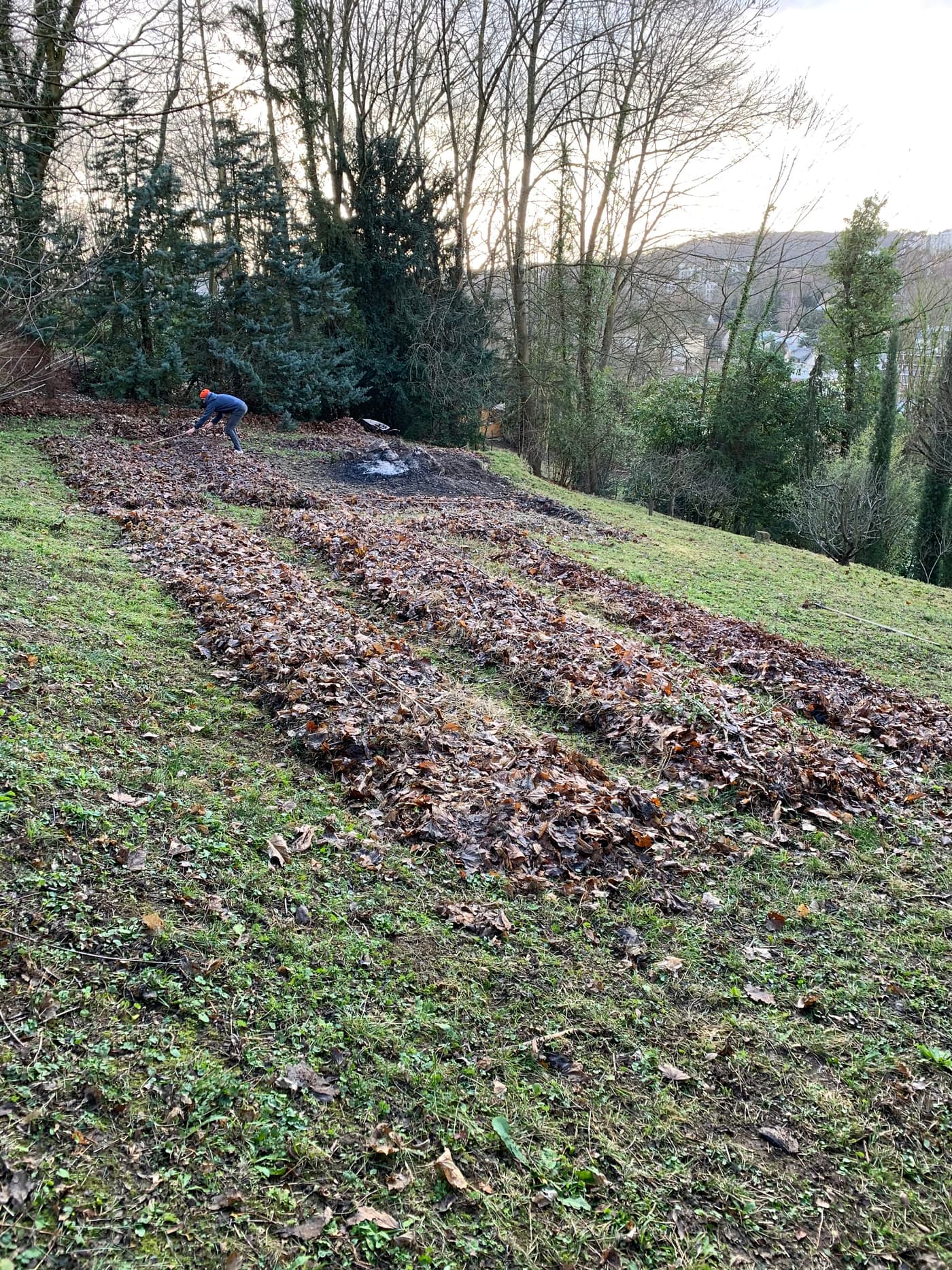 Travail hivernal du sol : paillage de feuilles mortes et silhouette au travail en arrière-plan.
