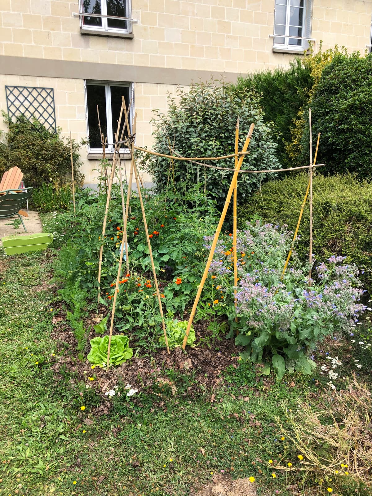 Planche productive avec tipis, salades en pied et allée pavée, lumière de fin de journée.