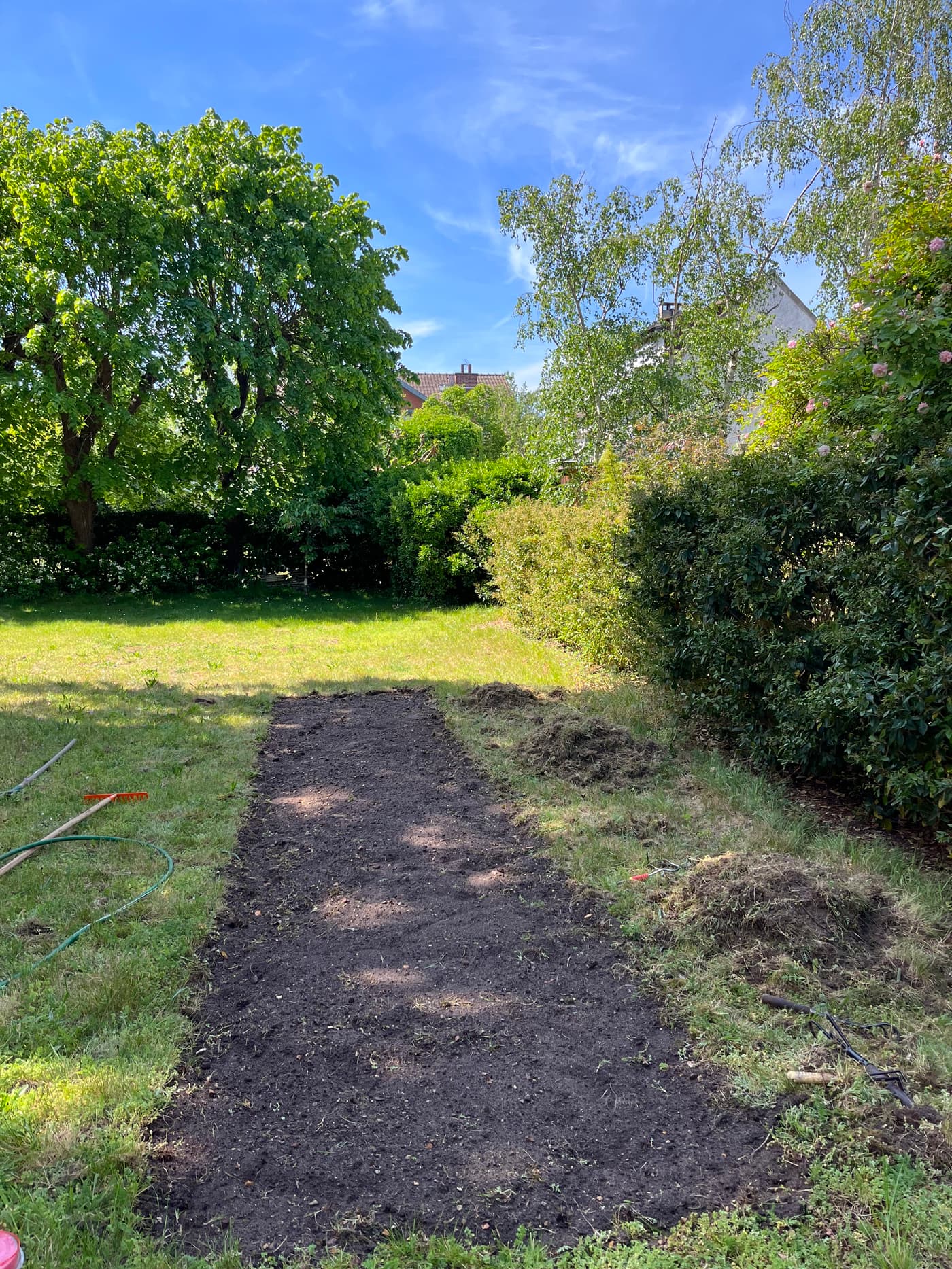 Vue large d'un potager fraîchement bêché en herbe au printemps, ciel bleu, arbres et haies en arrière-plan.
