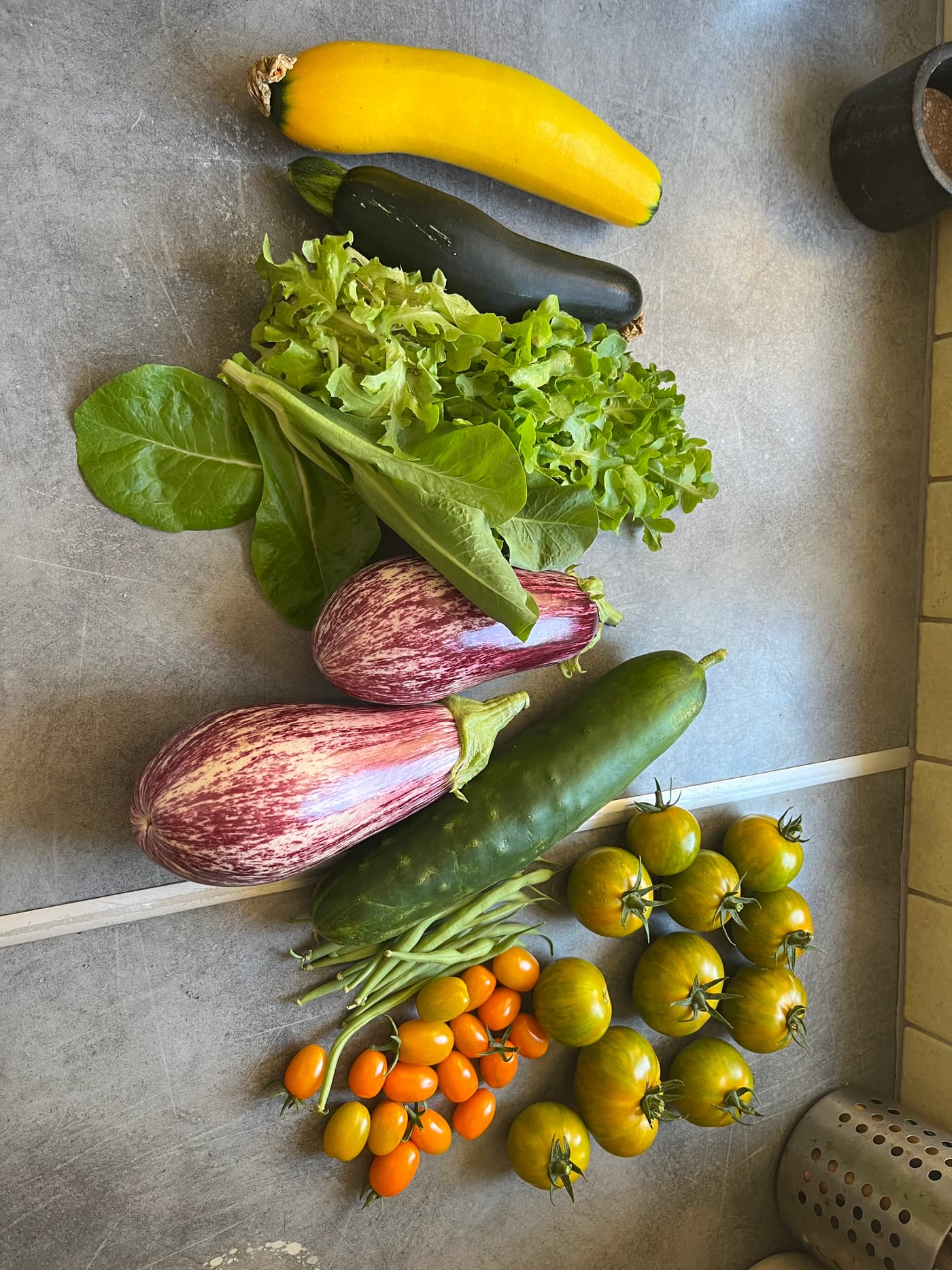 Récolte variée posée sur un plan de travail : courgettes, salades, aubergines, concombres, haricots et tomates.